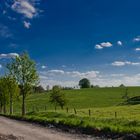 Neben der Bundesstraße