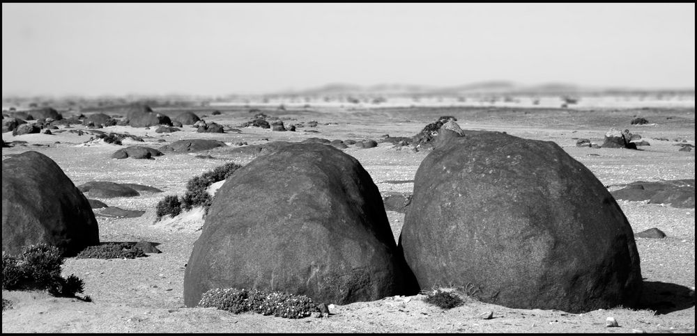 Neben der Pad, bei Wlotzkasbaken- Namibia