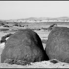 Neben der Pad, bei Wlotzkasbaken- Namibia