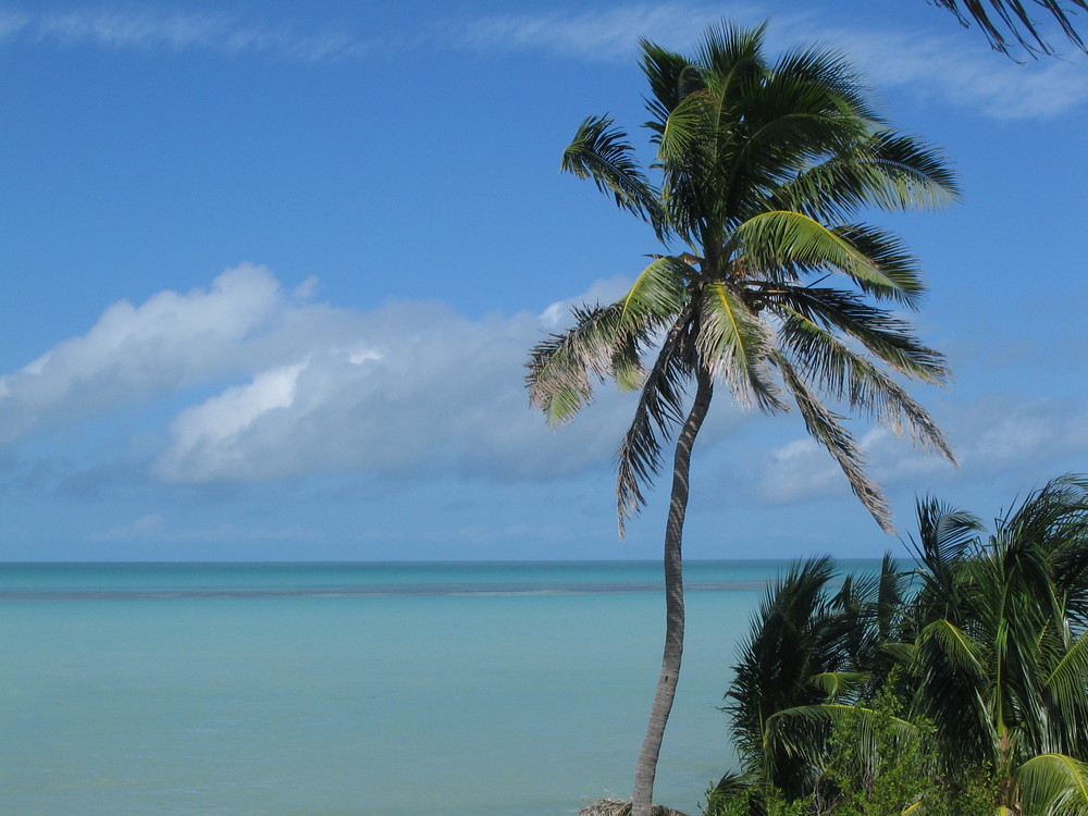 Neben der Seven Mile Bridge