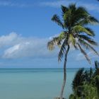 Neben der Seven Mile Bridge