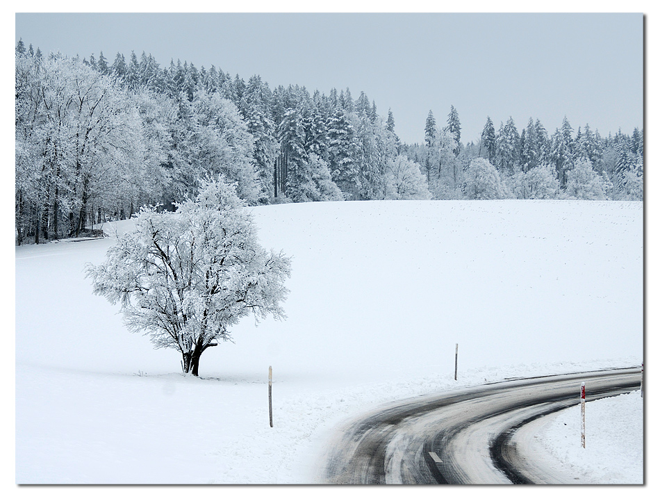 Neben der Strasse....