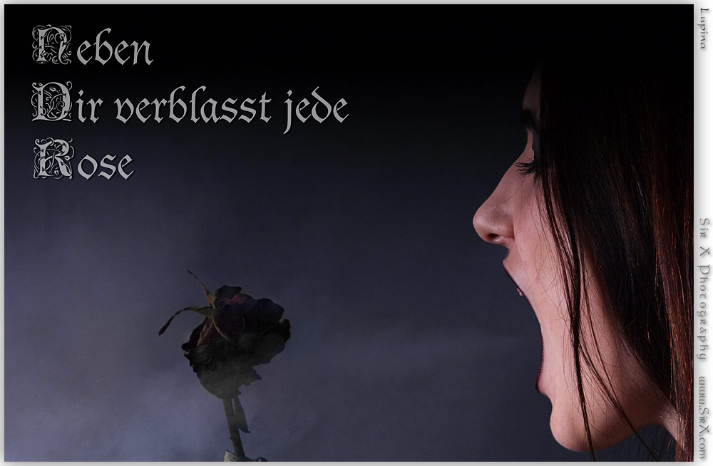 Neben Dir verblasst jede Rose