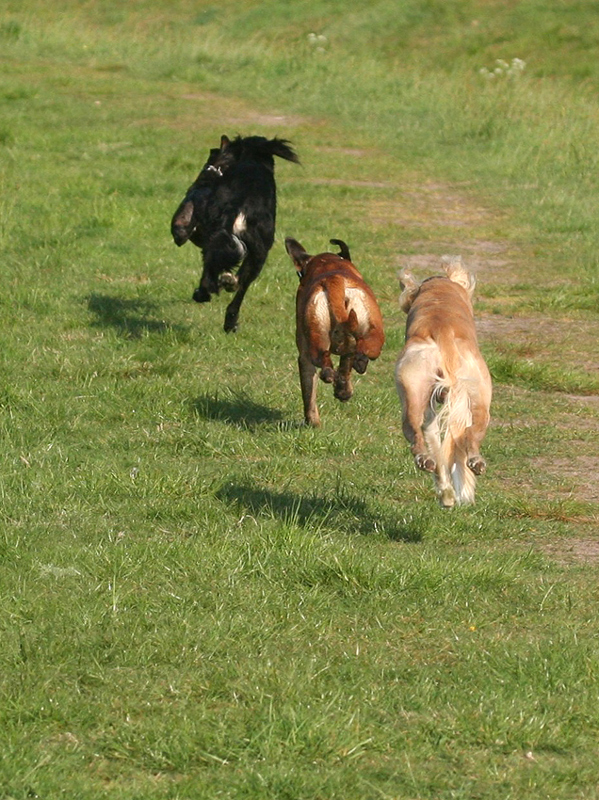 Neben seinen Schatten springen...