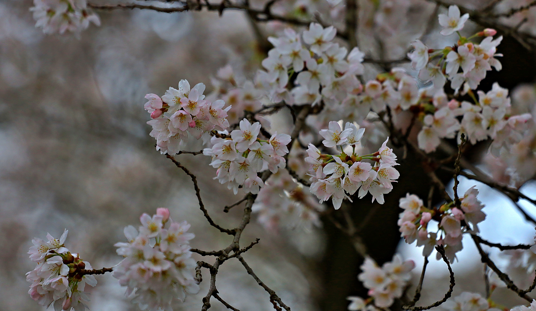 Nebenan im Garten