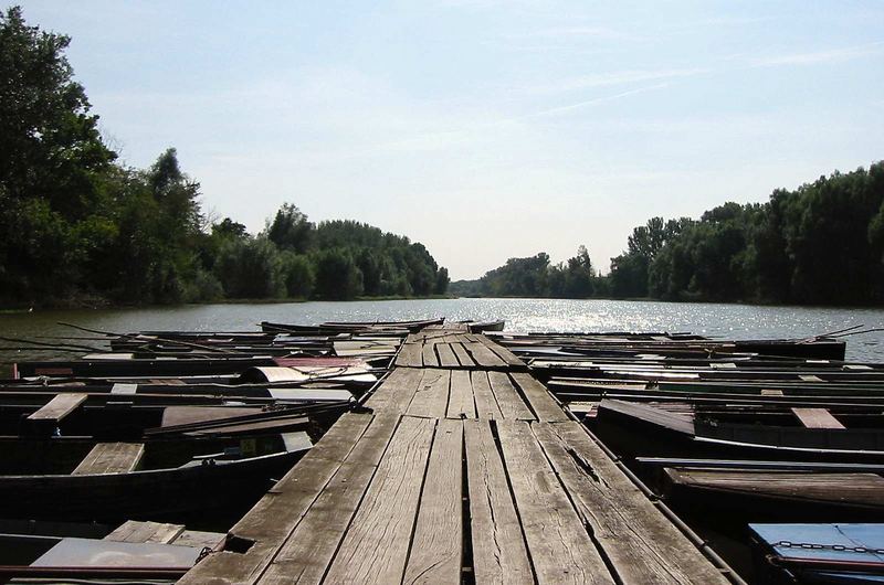 Nebenarm der Donau