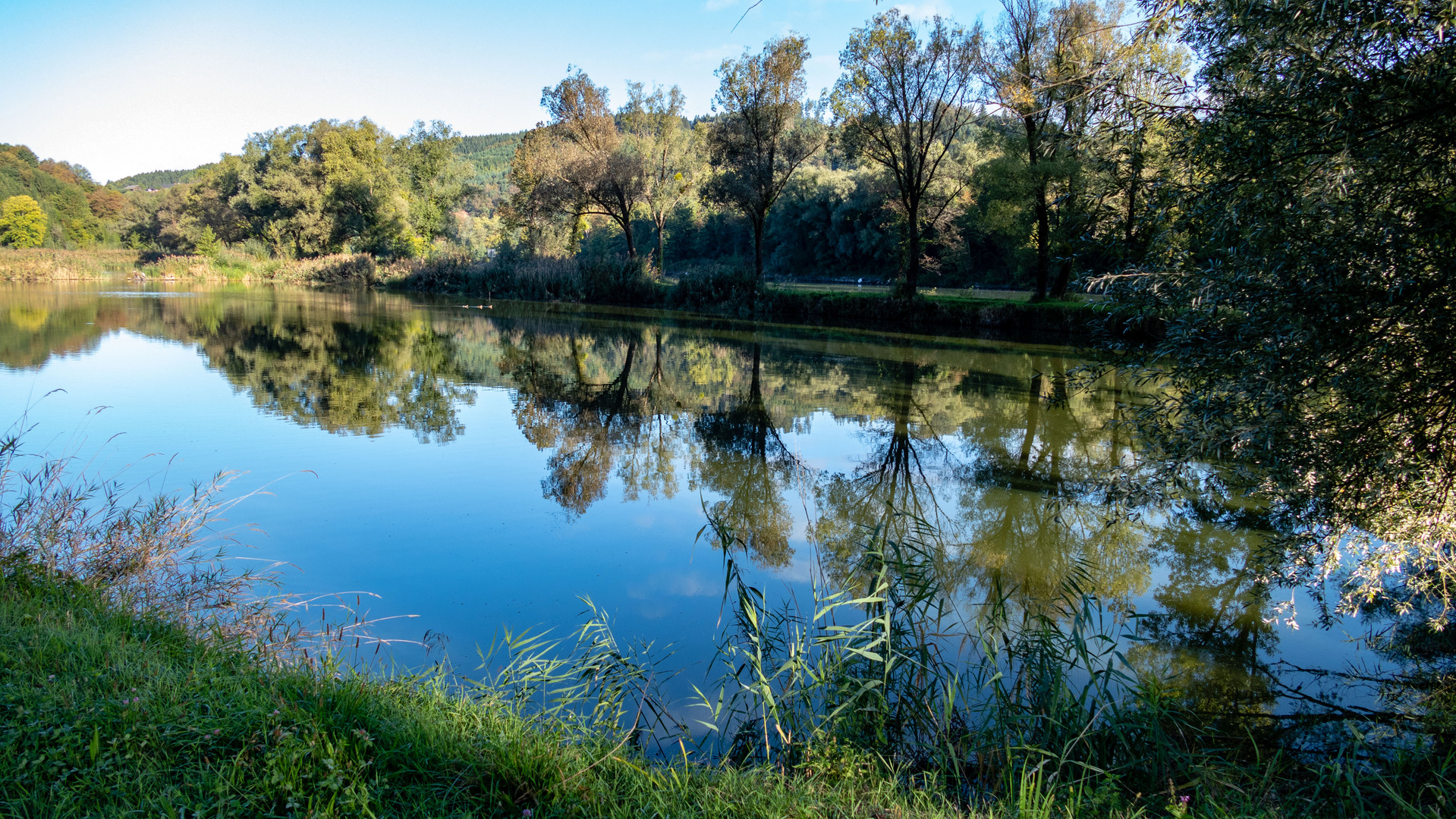 Nebenarm der Donau 