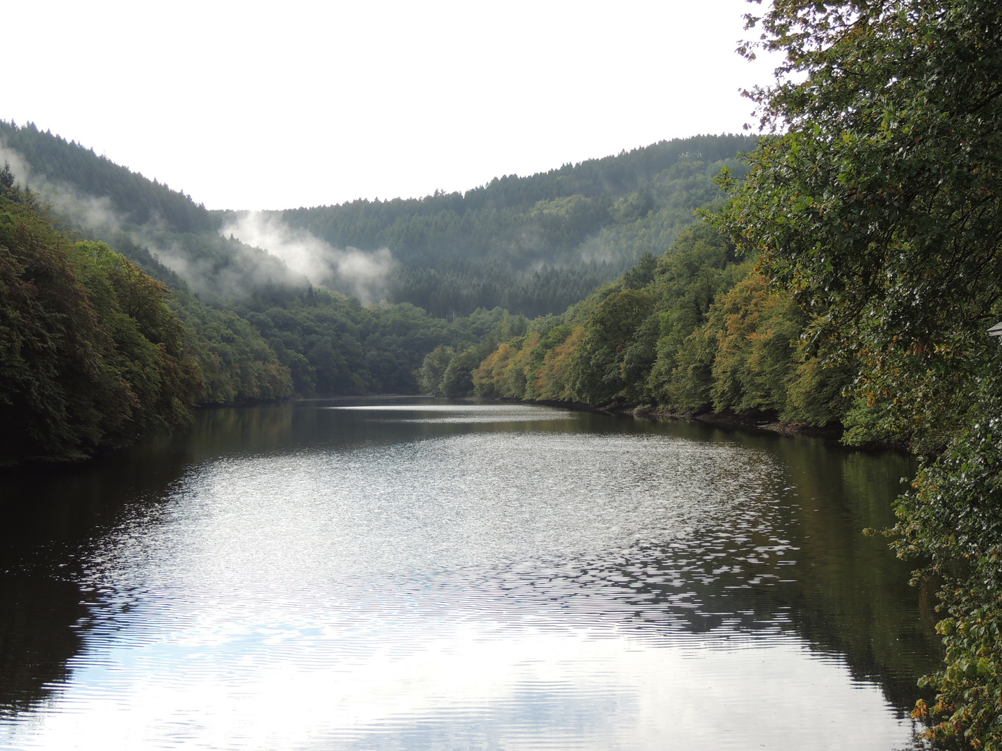 Nebenarm der Mosel