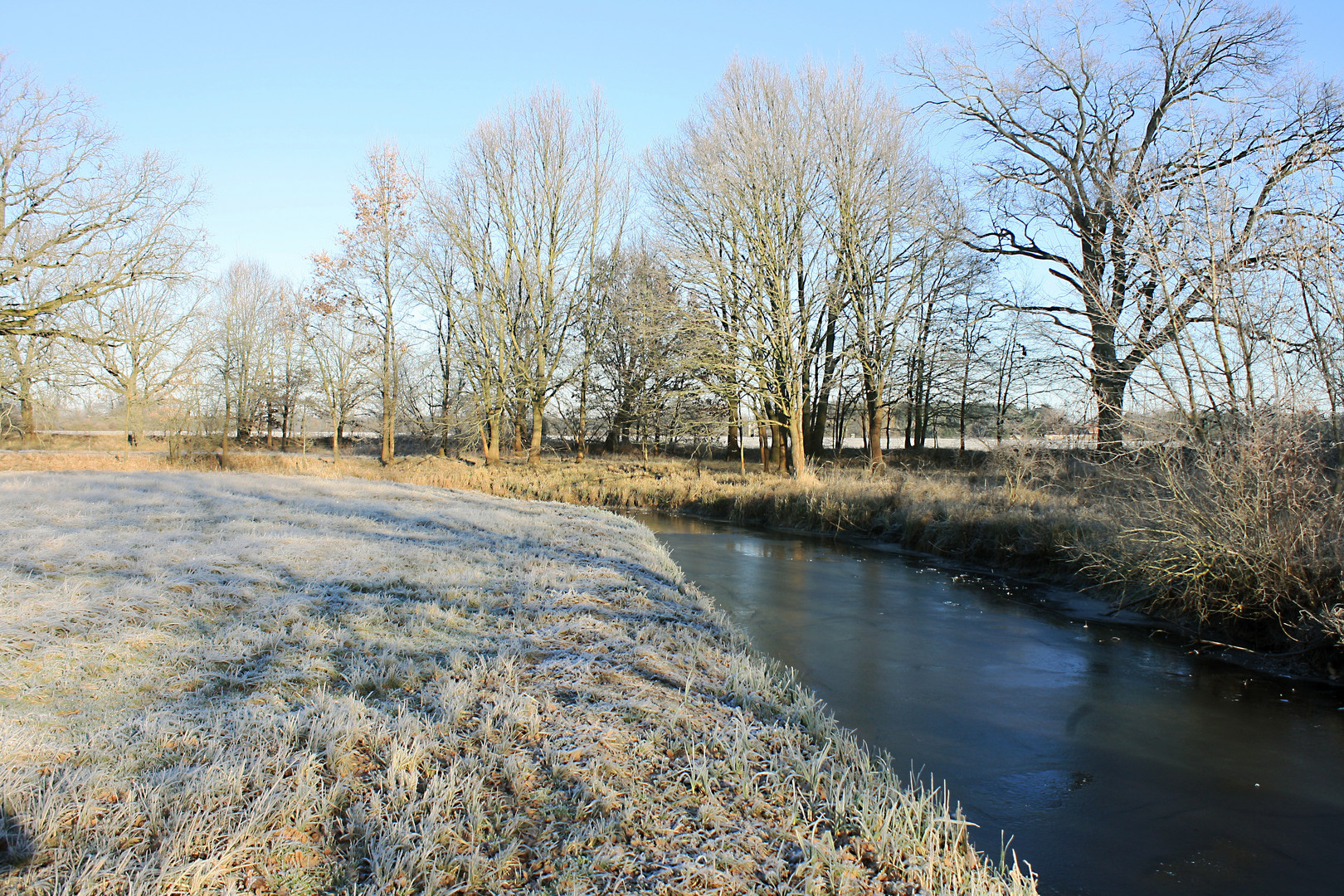 Nebenarm der Spree