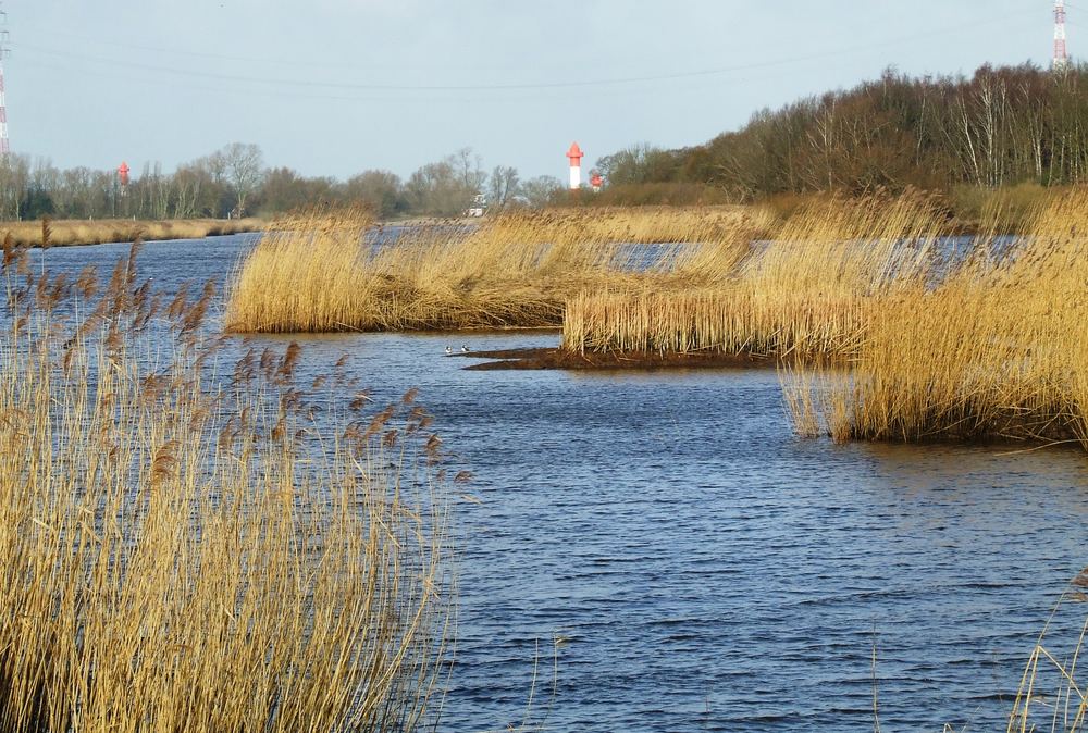 Nebenarm der Weser