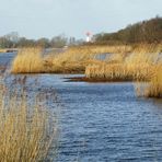 Nebenarm der Weser