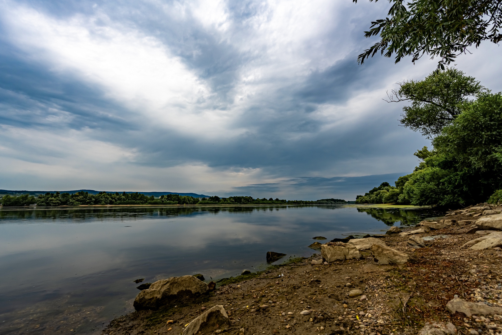 Nebenarm des Rheins