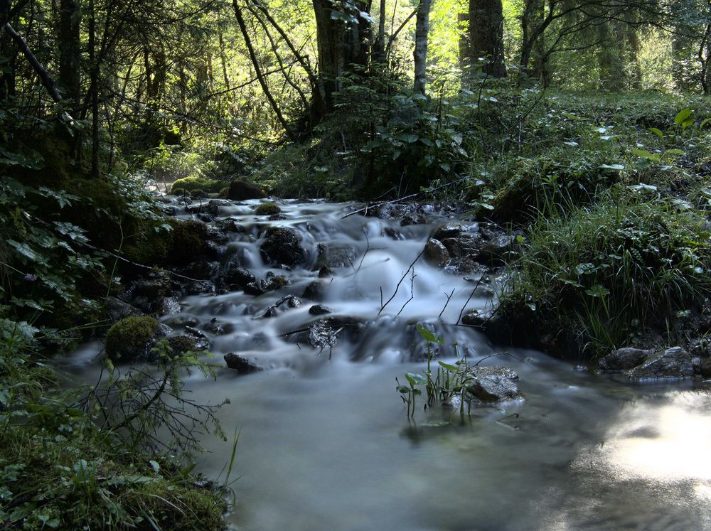 Nebenbach des Oybachs