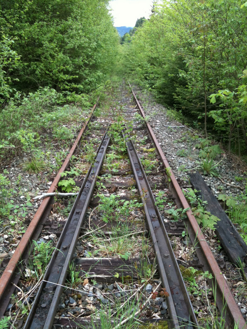 Nebenbahn Mürzzuschlag - Neuberg (Steiermark, Österreich)