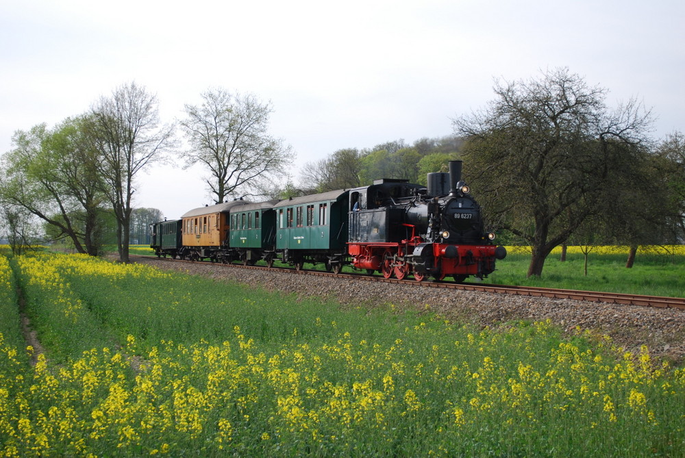 Nebenbahnromantik auf der Wittlager Kreisbahn