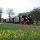 Nebenbahnromantik auf der Wittlager Kreisbahn