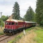 Nebenbahnromantik Wisentatalbahn III