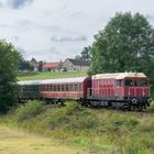 Nebenbahnromantik Wisentatalbahn IV