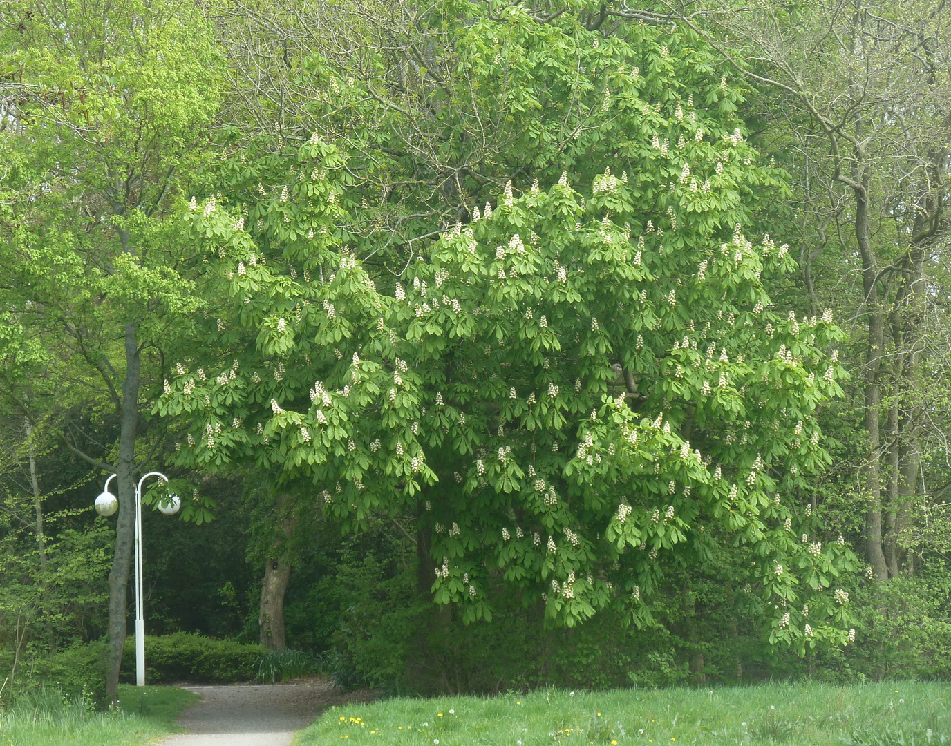 Nebeneingang zum Kurpark Cuxhaven