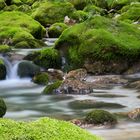 Nebenfluss der Soca in Slowenien