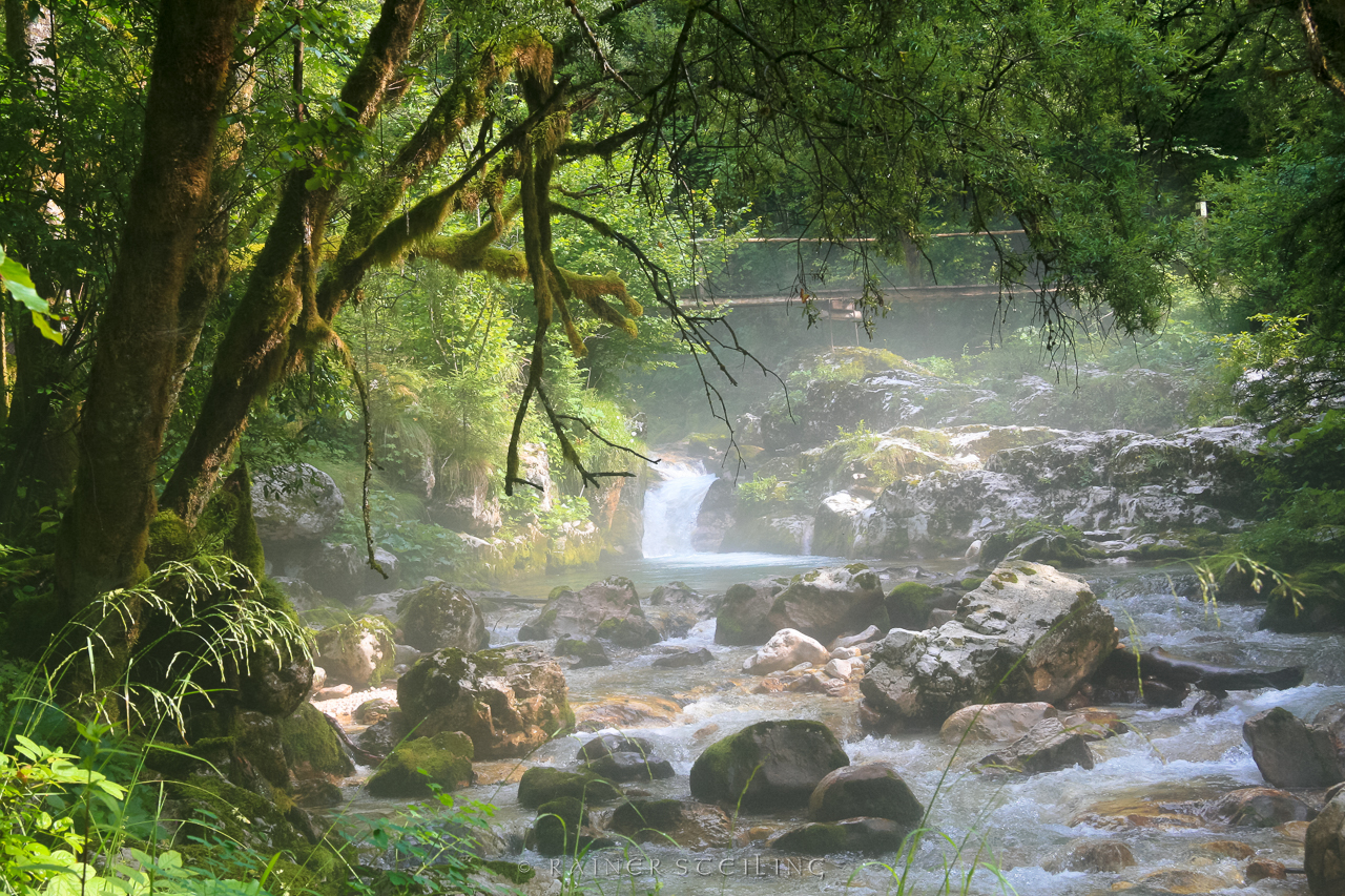 Nebenfluss der Soca (Slowenien)