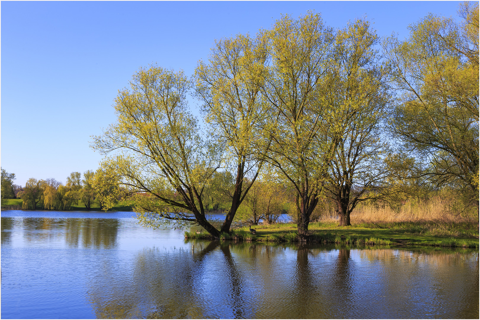 _nebenfluß_der_Elbe_ Foto & Bild landschaft, bach, fluss & see, wasser Bilder auf