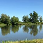 Nebensee der Elbe