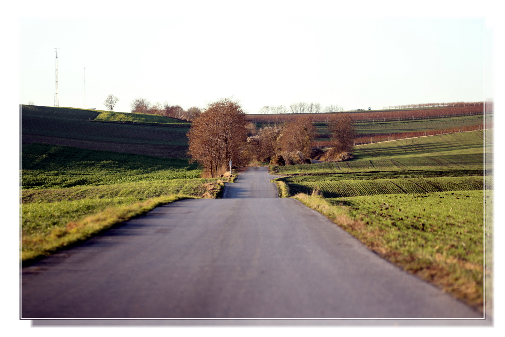 Nebenstrasse im Wein4tel