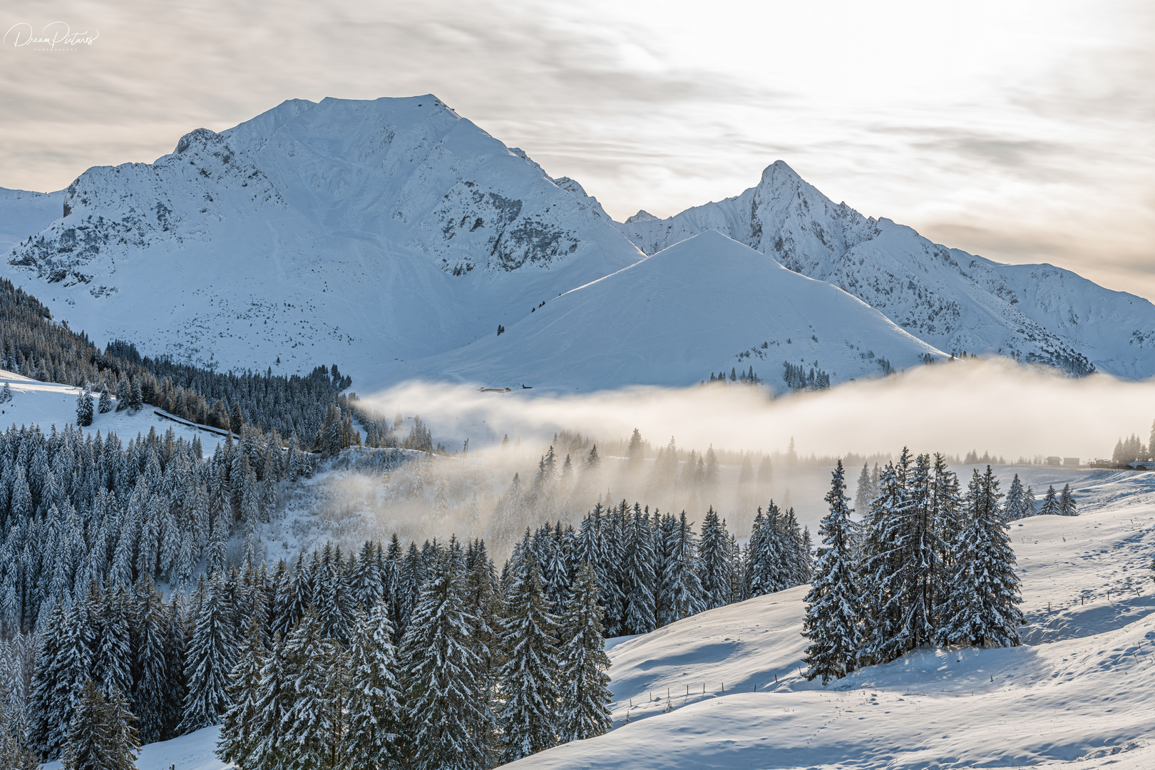 Neblibe Winterlandschaft