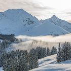 Neblibe Winterlandschaft