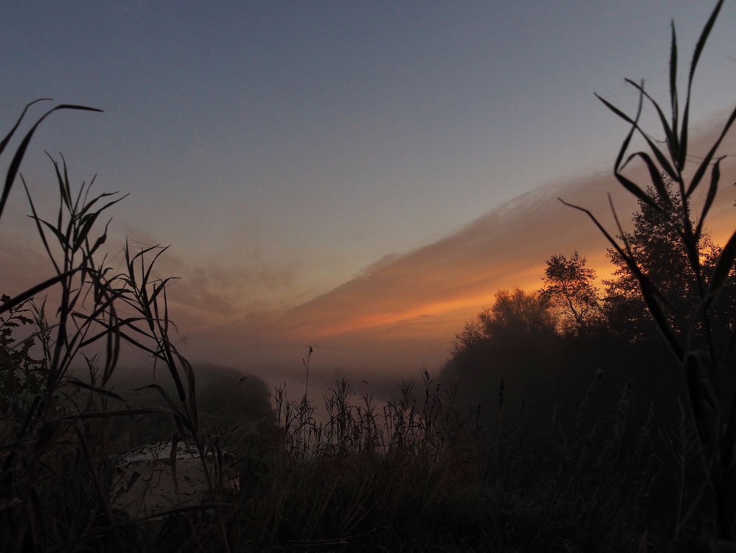 Neblig frostiger Herbstmorgen.....