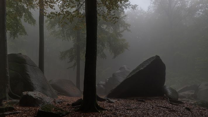 neblig war`s beim Felsenmeer