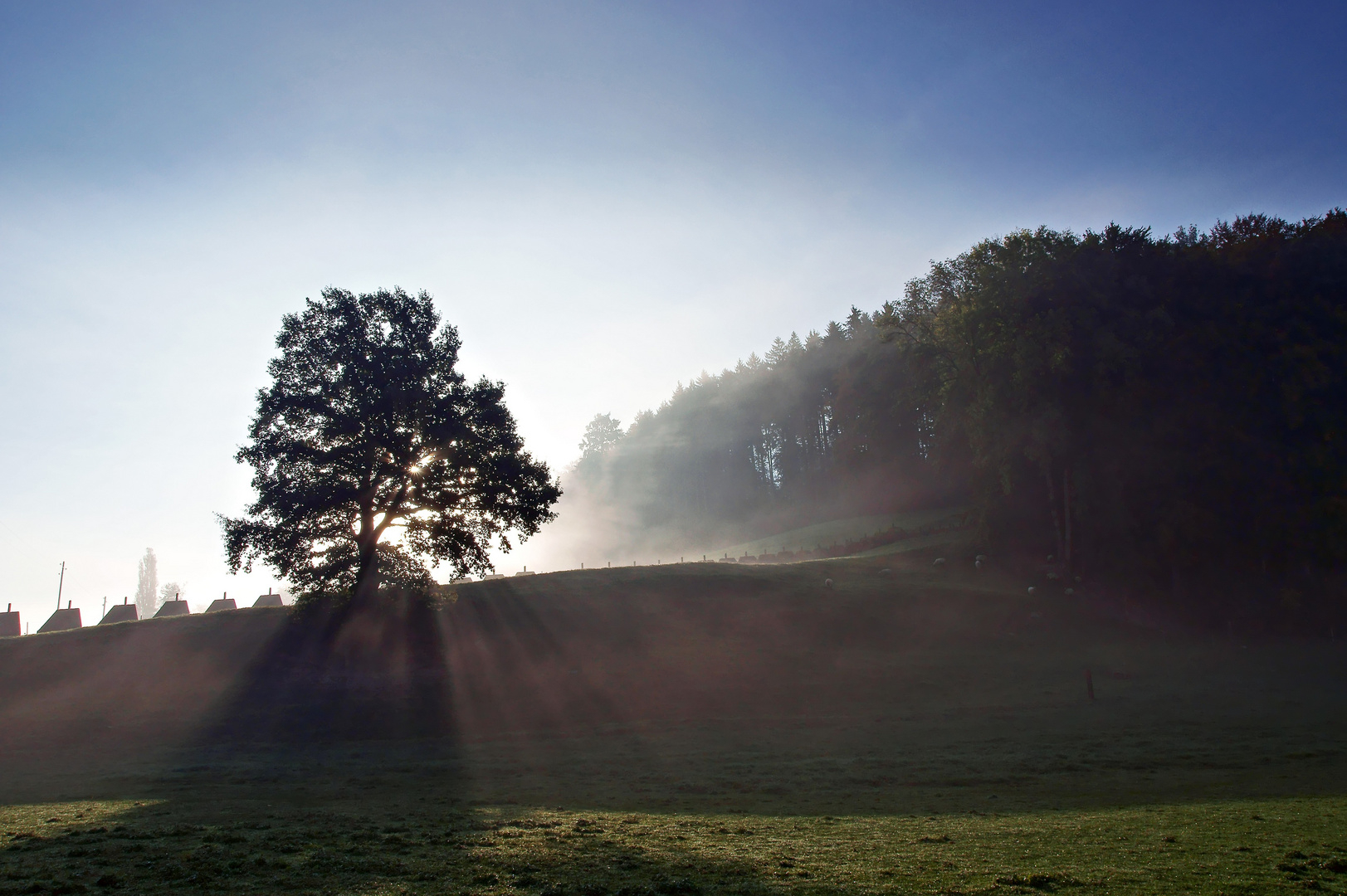 Neblige Herbststimmung (dieses Bild widme ich Steve Lee, Sänger der Rockgruppe Gotthard)