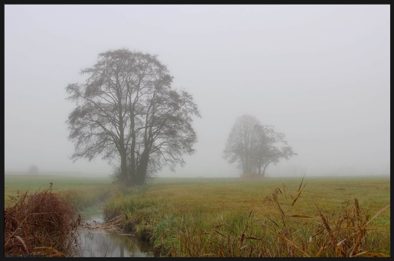 neblige Herbststimmung