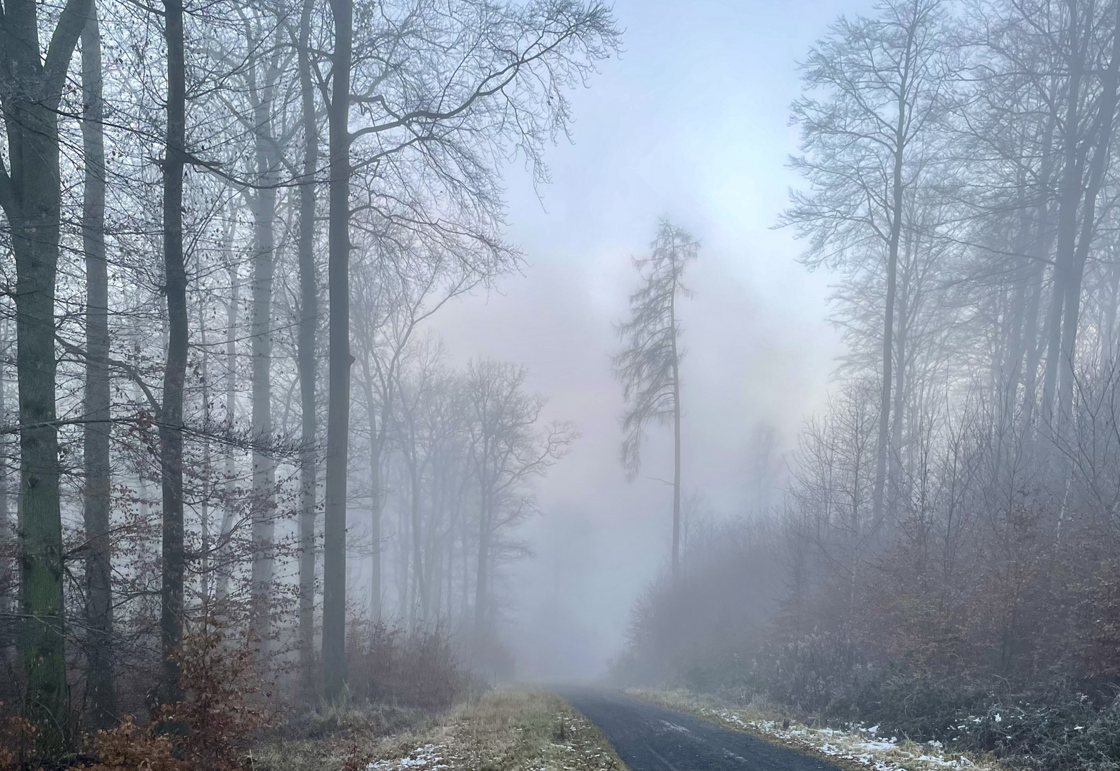 Neblige Landschaft bei Hillscheid auf dem Limes-Pfad