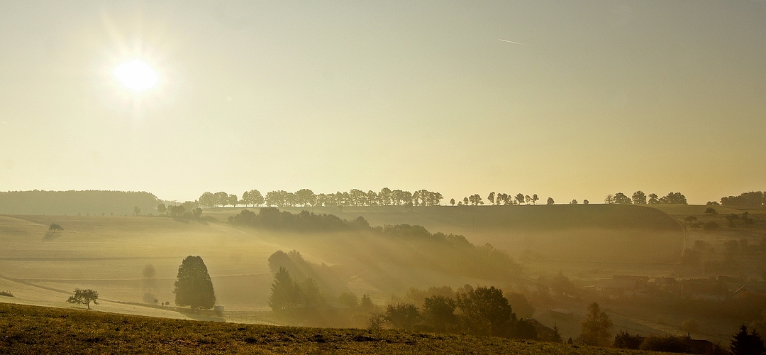 Neblige Morgenlandschaft 2