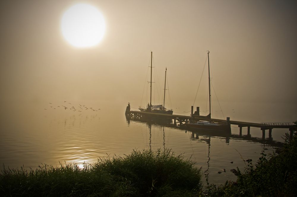 Neblige Morgenstimmung an der Schlei