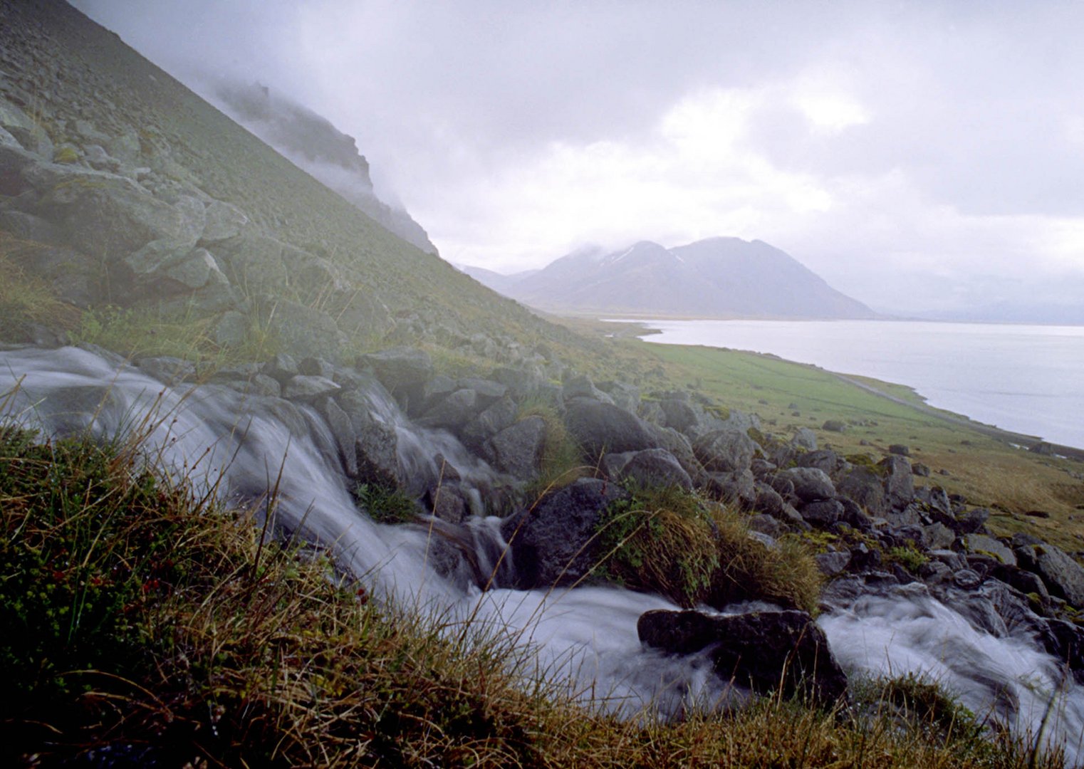 Neblige Ostfjorde