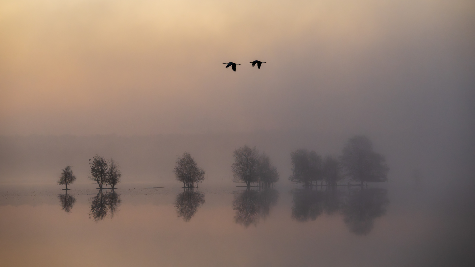 Neblige Stimmung 3
