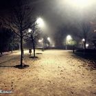 nebligen Nacht / noche de niebla