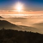 Nebliger Ausblick im Abendlicht