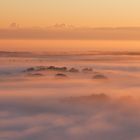 Nebliger Elbmarsch Sonnenaufgang