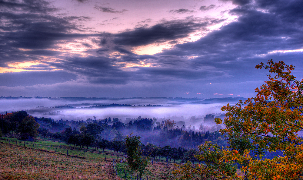 Nebliger Herbst