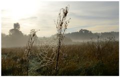 nebliger Herbstmorgen