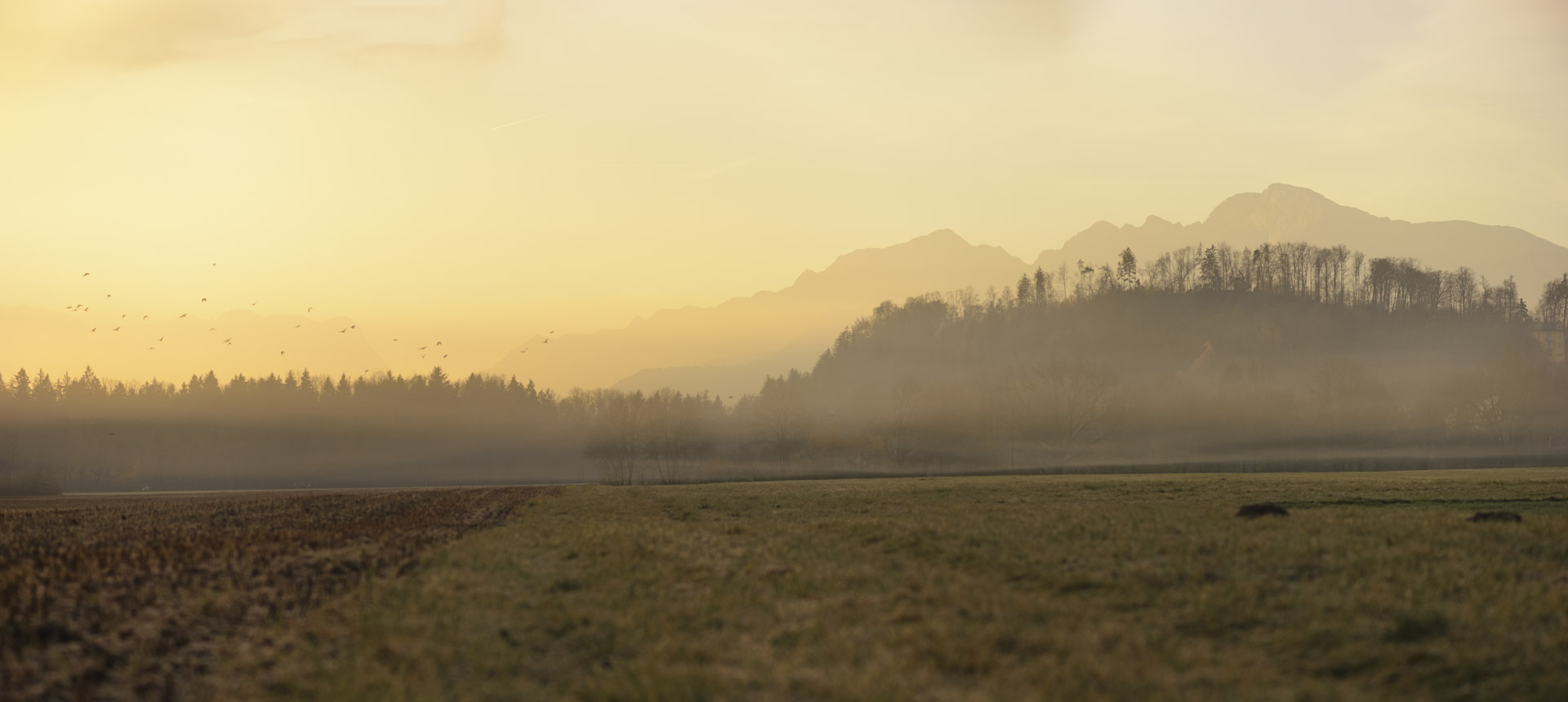 nebliger Herbstmorgen