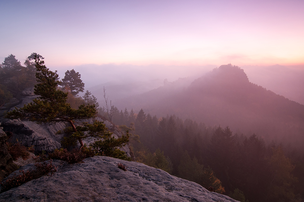 Nebliger Herbstmorgen im Elbsandstein