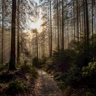 nebliger Herbstmorgen in der sächsischen Schweiz