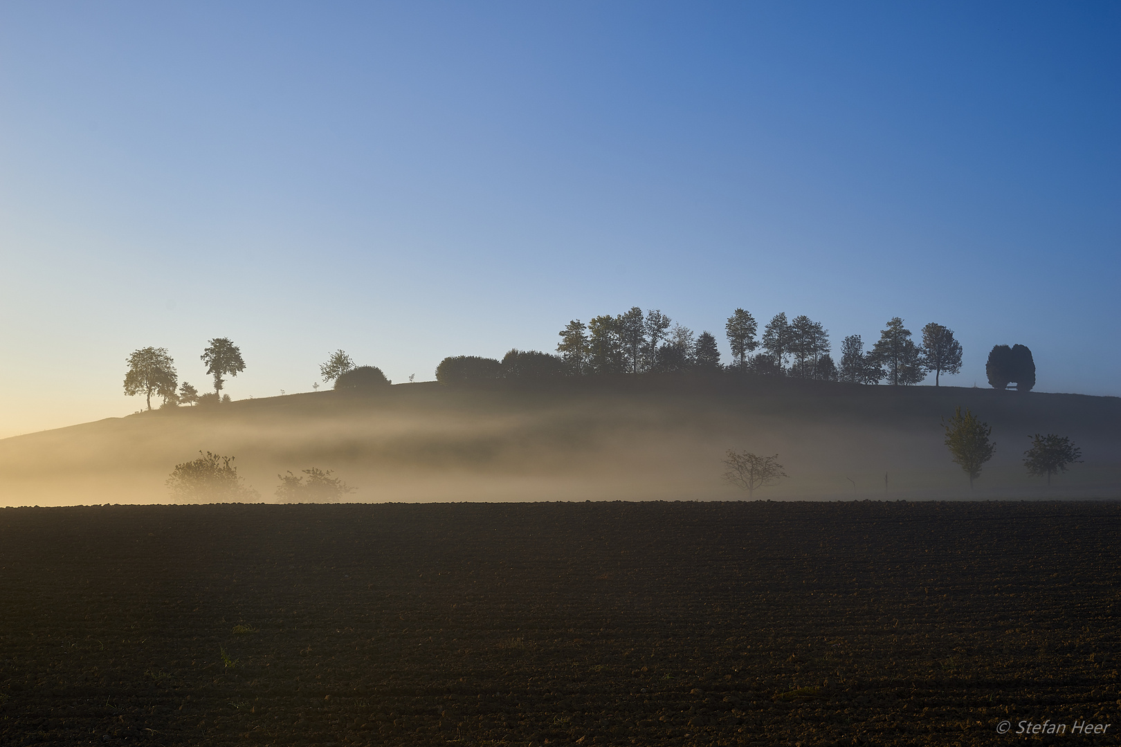 Nebliger Morgen