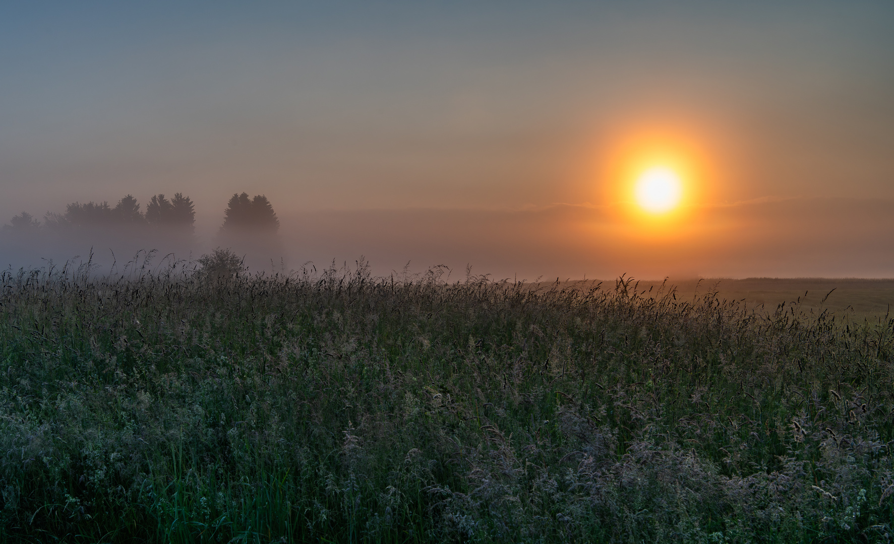 Nebliger Morgen