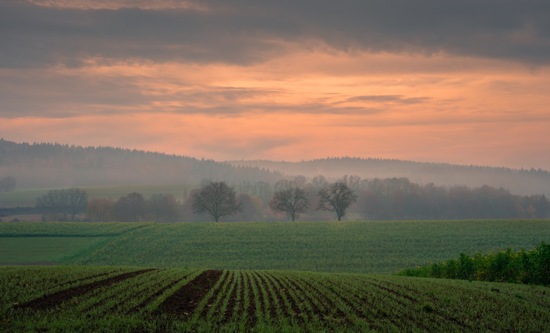 Nebliger Morgen